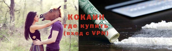 прущий лед Новозыбков