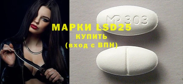 прущий лед Новозыбков