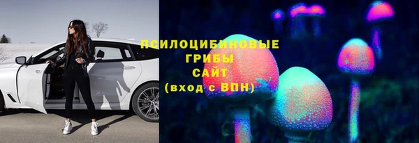 прущий лед Новозыбков