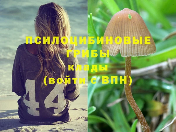 прущий лед Новозыбков