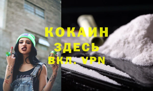 гашик Нефтекумск