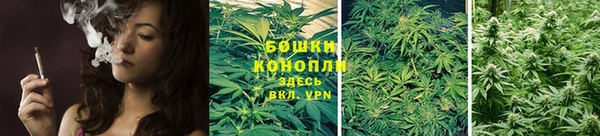 прущий лед Новозыбков