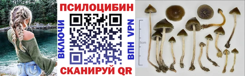 Галлюциногенные грибы мицелий  Казань 