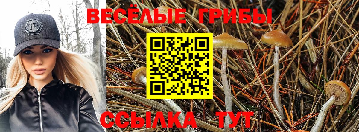Псилоцибиновые грибы MAGIC MUSHROOMS  Вход с VPN  Казань 