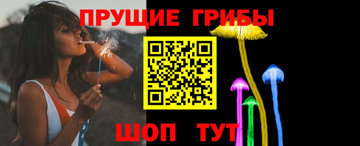 Псилоцибиновые грибы GOLDEN TEACHER Казань